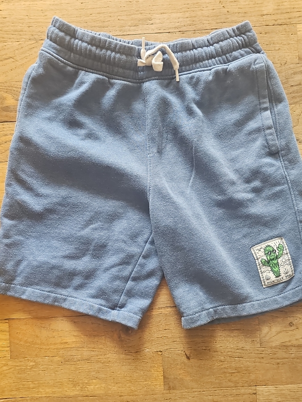 Old Navy Light Blue Cotton Drawstring Shorts with Cactus Patch